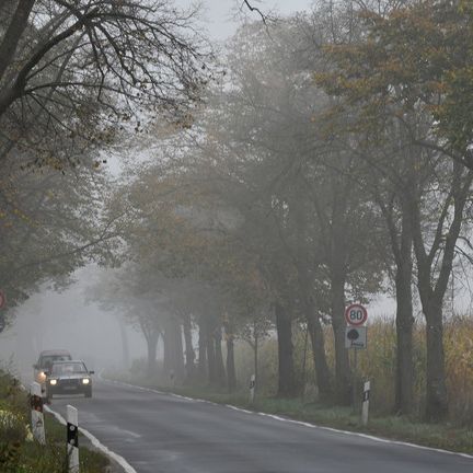 Frost und Nebel! So ungemütlich wird das Wetter in Deutschland Frost und Nebel! So ungemütlich wird das Wetter in Deutschland (Foto)