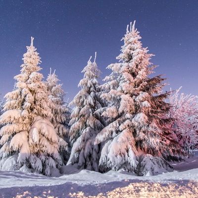 Wird dieser Winter wirklich der kälteste seit 100 Jahren? Wird dieser Winter wirklich der kälteste seit 100 Jahren? (Foto)