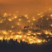 Die Feuer im Yosemite-Nationalpark verschlangen 330 Quadratkilometer Wald. Die Feuer im Yosemite-Nationalpark verschlangen 330 Quadratkilometer Wald.
