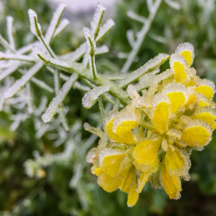 Frost statt Hochwasser! Die Wettervorhersage aktuell Frost statt Hochwasser! Die Wettervorhersage aktuell (Foto)