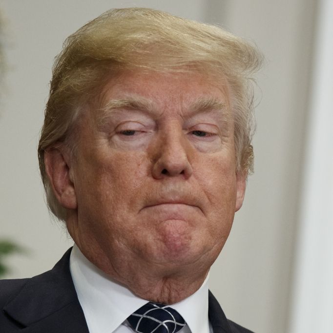 Pikante Offenbarung! SO war der Sex mit Donald Trump Pikante Offenbarung! SO war der Sex mit Donald Trump (Foto)