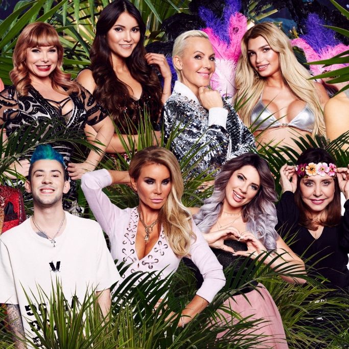 IBES im Live-Stream oder TV sehen IBES im Live-Stream oder TV sehen (Foto)