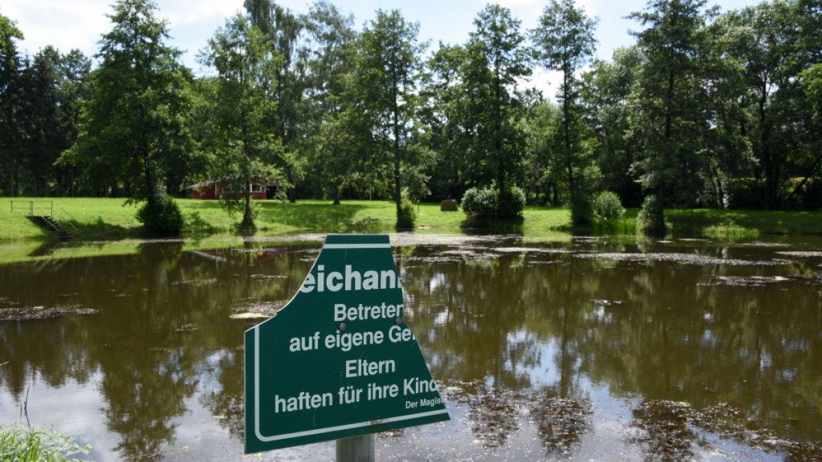 Im Zwickauer Stadtteil Planitz wurde die Leiche einer 17-Jährigen in einem Teich gefunden. (Foto)