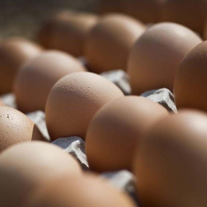 Mit Keimen verseucht! Edeka und Rewe rufen DIESE Eier zurück Mit Keimen verseucht! Edeka und Rewe rufen DIESE Eier zurück (Foto)