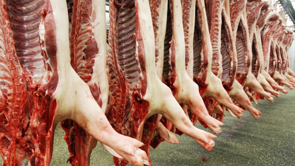 Gelatine ist ein Abfallprodukt der Fleischindustrie und wird aus Knochen gewonnen. (Foto)