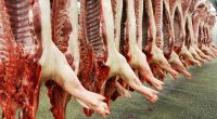 Gelatine ist ein Abfallprodukt der Fleischindustrie und wird aus Knochen gewonnen.