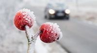 Frost und gefrierende Nässe sorgen für Glätte auf den Straßen.