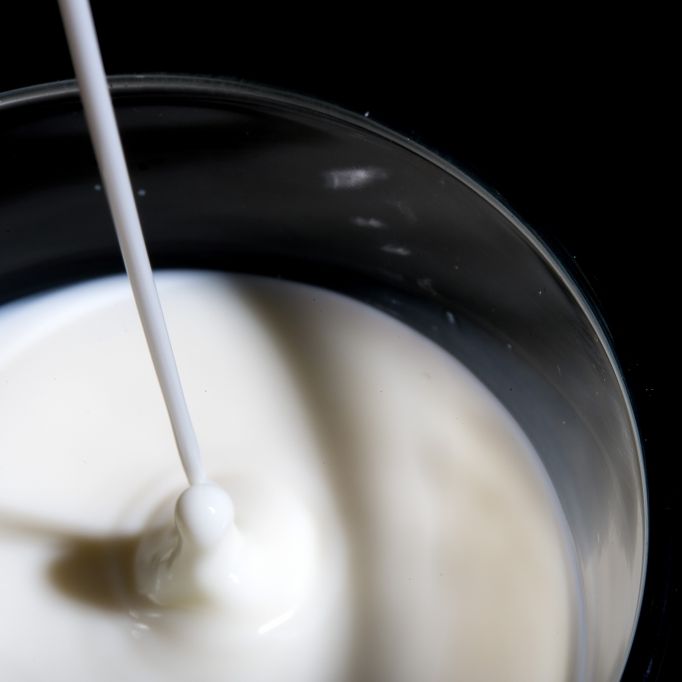 Krebs-Gefahr! Wie gefährlich ist Milch tatsächlich? (Foto)