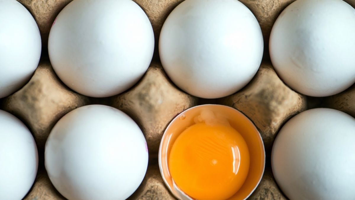 Eier Ruckruf Wegen Salmonellen Norma Rewe Netto Penny Und Edeka Rufen Eier Zuruck News De