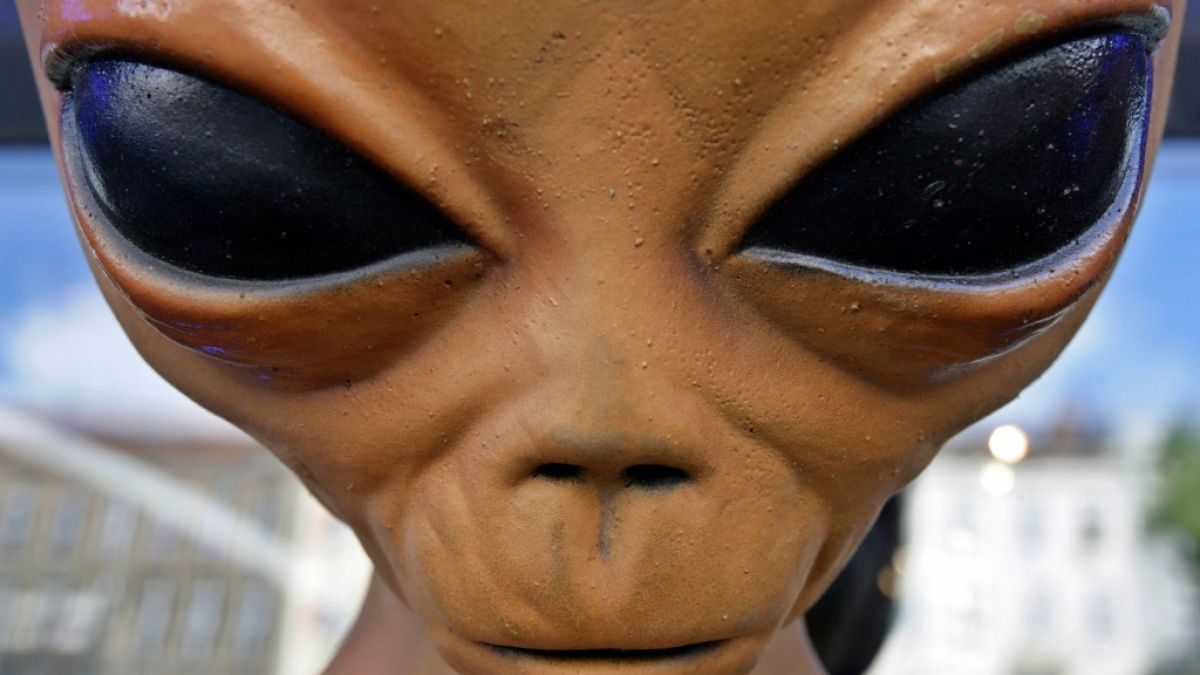 Ein Experte behauptet, dass Aliens seit Jahren mit der US-Regierung in Kontakt stehen. (Foto)