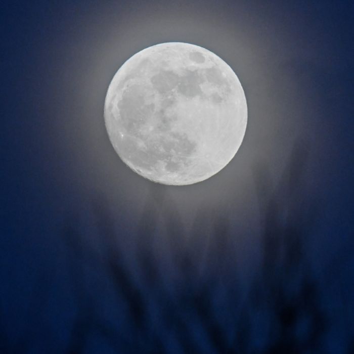 Milchmond erstrahlt in voller Pracht! DIESE Nacht wird magisch Milchmond erstrahlt in voller Pracht! DIESE Nacht wird magisch (Foto)