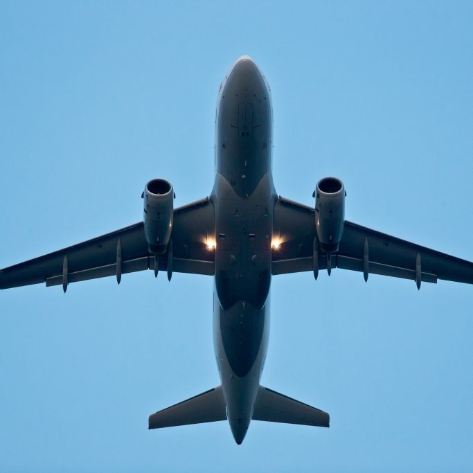 Airline-Crew wirft Mann aus Flugzeug in den Tod Airline-Crew wirft Mann aus Flugzeug in den Tod (Foto)