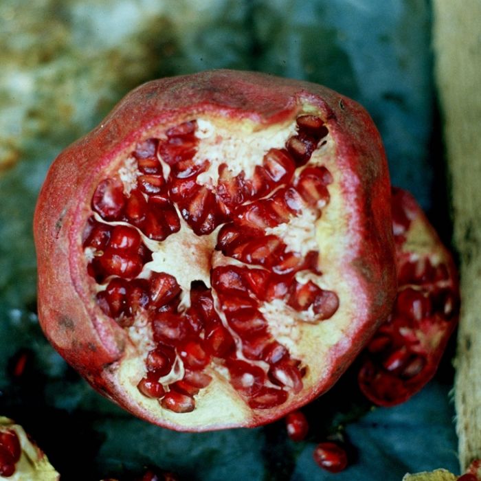 Tödliche Keime: Australierin stirbt an giftigem Obst