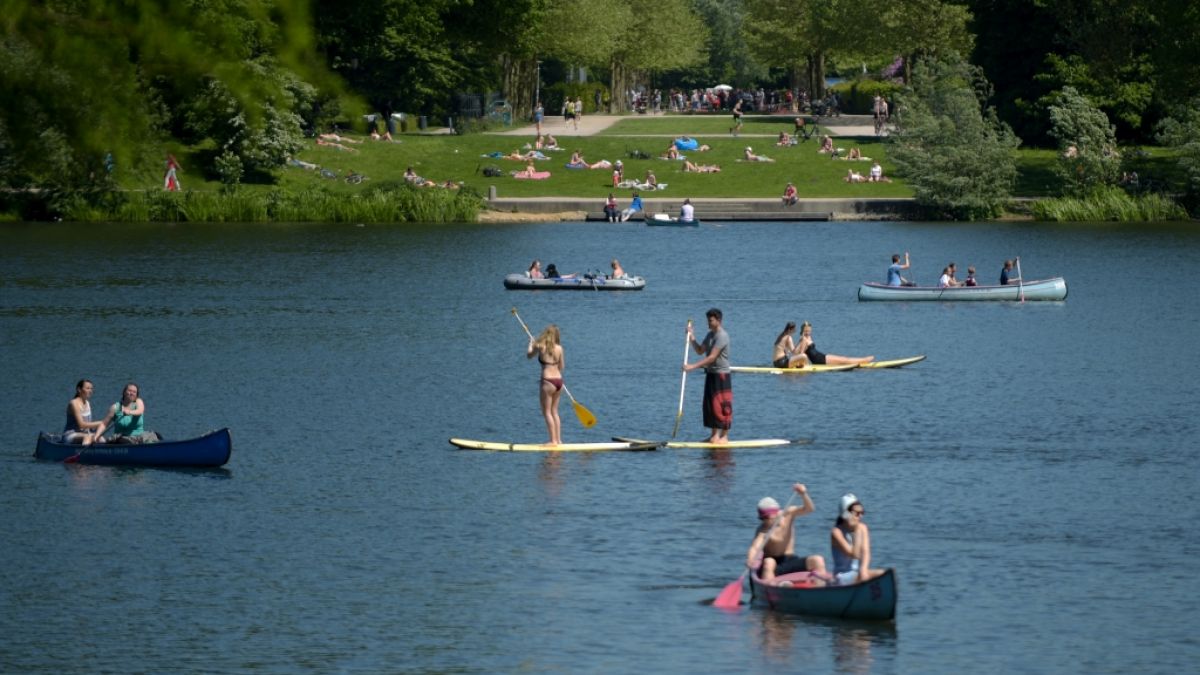 Stadtparksee in Hamburg: Mit den steigenden Temperaturen steigt die Gefahr durch Zerkarien in Badeseen.  (Foto)