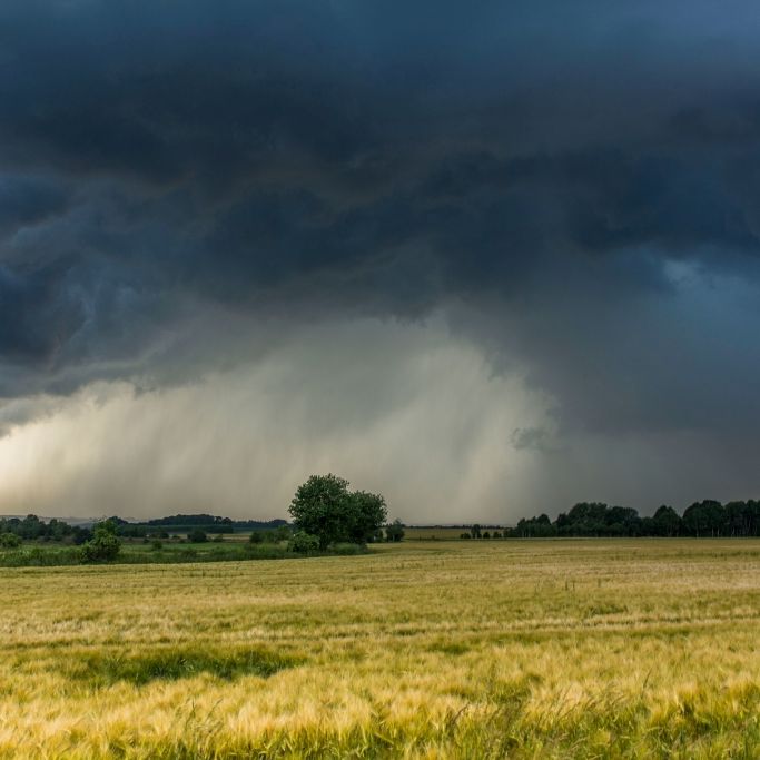 Achtung, Unwetter-Alarm! HIER droht Wetter-Chaos in Deutschland Achtung, Unwetter-Alarm! HIER droht Wetter-Chaos in Deutschland (Foto)