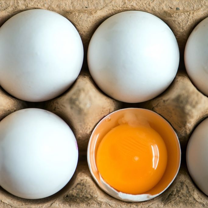Achtung, Salmonellen! Rückruf von Bio-Eiern in DIESEN Märkten Achtung, Salmonellen! Rückruf von Bio-Eiern in DIESEN Märkten (Foto)