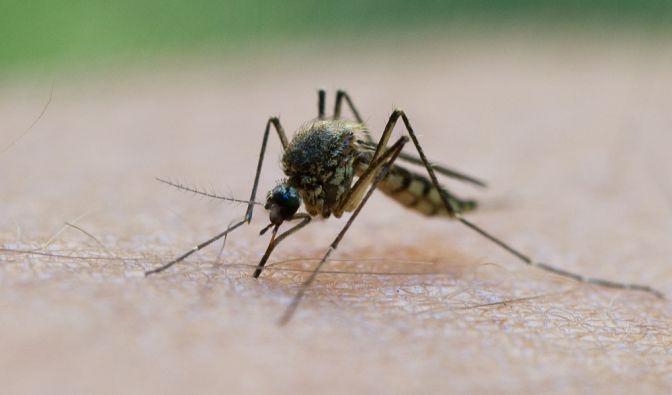 Infektionsgefahr in Deutschland