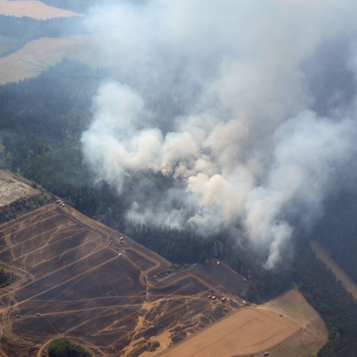 Waldbrände und Ernteausfälle! SO dramatisch ist der Mega-Sommer Waldbrände und Ernteausfälle! SO dramatisch ist der Mega-Sommer (Foto)