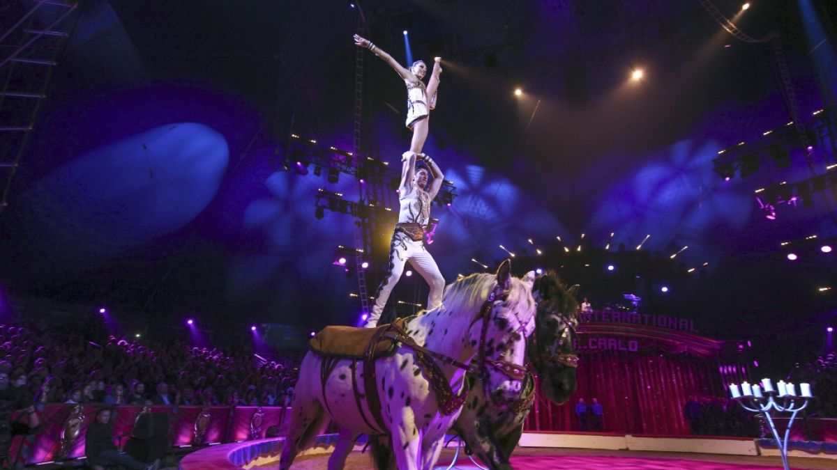Beim 42. Internationalen Zirkusfestival von Monte Carlo zeigen Weltartisten ihr Können. (Foto)