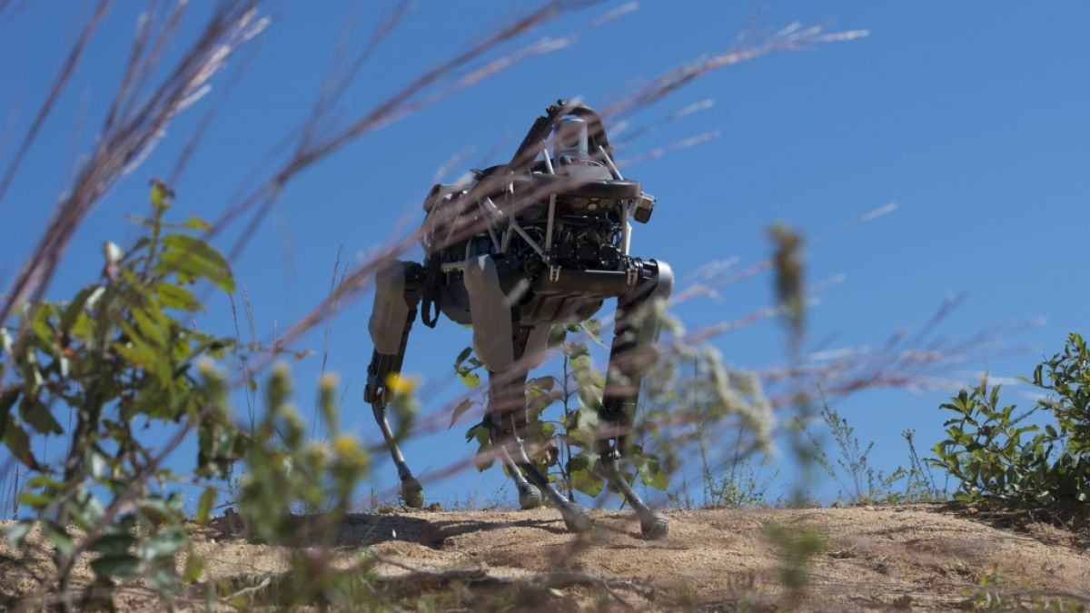 Der vierbeinige Roboter "Spot" wurde schon 2015 auf einer Basis der Marine Corps in den USA getestet. (Foto)