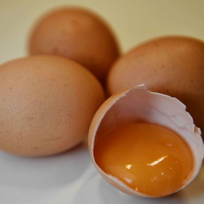 Salmonellen-Alarm! Bio-Eier zurückgerufen Salmonellen-Alarm! Bio-Eier zurückgerufen (Foto)