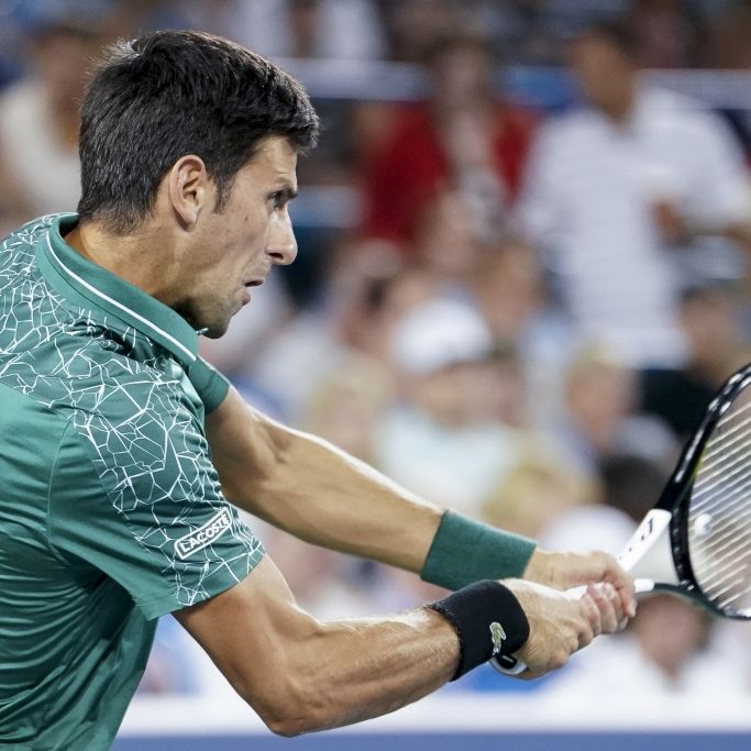 Djokovic schlägt Federer im Finale von Cincinnati Djokovic schlägt Federer im Finale von Cincinnati (Foto)