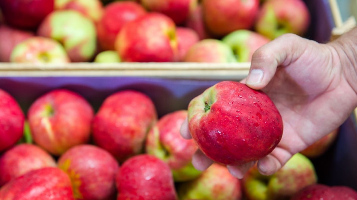Außen knackig und reif, doch in einer Apfelsorte fanden die Tester von Ökotest erhöhte Pestizidwerte. (Symbolbild) (Foto)