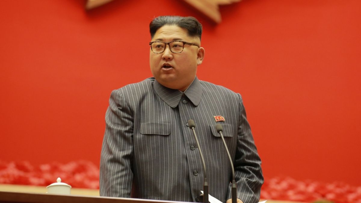 Woher hat Norkoreas Machthaber Kim Jong-un sein Vermögen? (Foto)