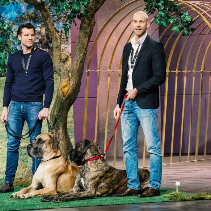 SO funktioniert die neuartige DHDL-Hundeleine SO funktioniert die neuartige DHDL-Hundeleine (Foto)