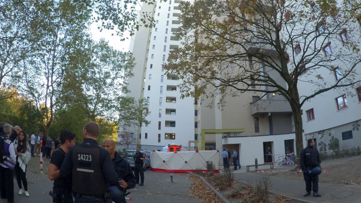Polizisten stehen vor einem Hochhaus im Märkischen Viertel in Berlin. (Foto)