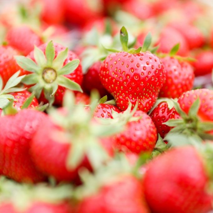 Vorsicht vor diesen Früchten! Hepatitis A in Erdbeeren entdeckt! Vorsicht vor diesen Früchten! Hepatitis A in Erdbeeren entdeckt! (Foto)