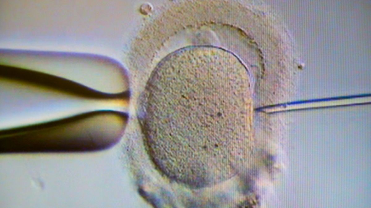 In Texas wurde ein durch künstliche Befruchtung gezeugtes Baby erstmals von zwei Frauen ausgetragen (Symbolfoto). (Foto)