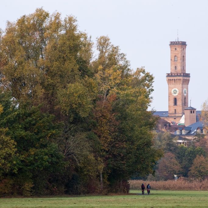 Polizei-Fahndung! Spaziergängerin am helllichten Tag vergewaltigt Polizei-Fahndung! Spaziergängerin am helllichten Tag vergewaltigt (Foto)