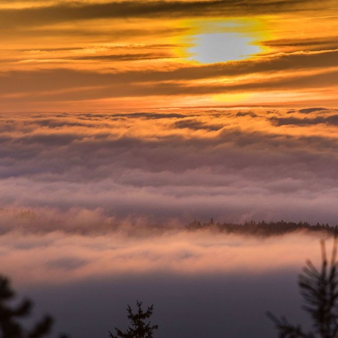 Bis zu 20 Grad! SO sonnig wird der Herbst in Deutschland Bis zu 20 Grad! SO sonnig wird der Herbst in Deutschland (Foto)
