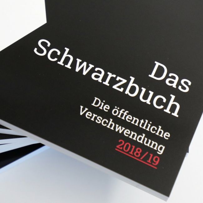 Top 10: SO werden IHRE Steuergelder verschwendet! Top 10: SO werden IHRE Steuergelder verschwendet! (Foto)