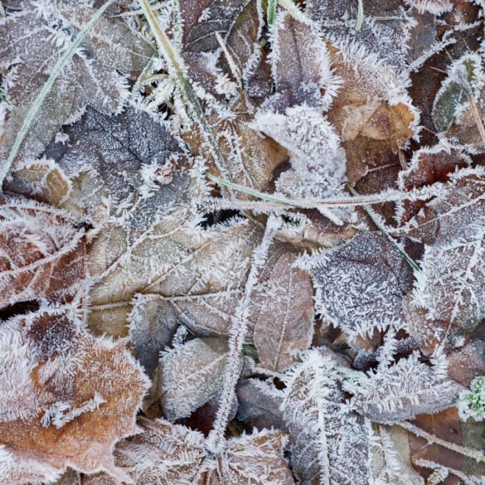 Schnee und Glätte! Polarluft lässt Deutschland zittern Schnee und Glätte! Polarluft lässt Deutschland zittern (Foto)