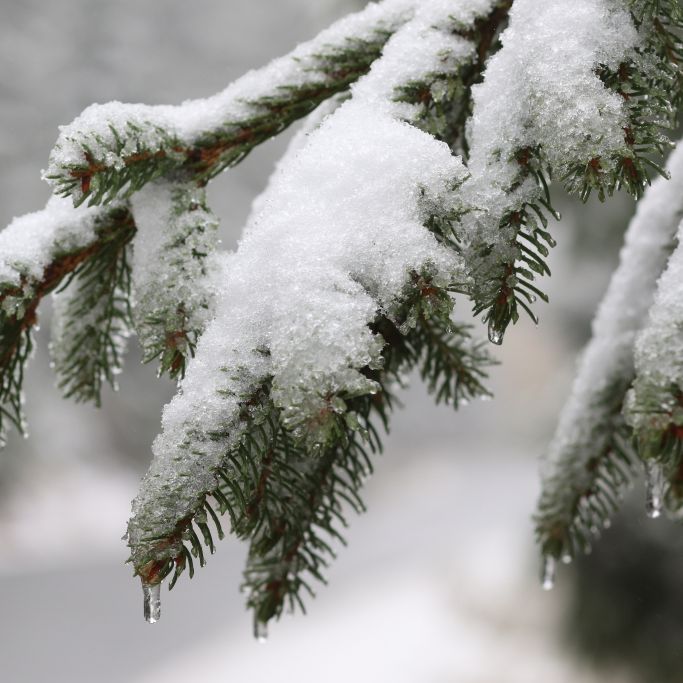Heftiger Temperatursturz! Kälte-Peitsche lässt Deutschland zittern Heftiger Temperatursturz! Kälte-Peitsche lässt Deutschland zittern (Foto)