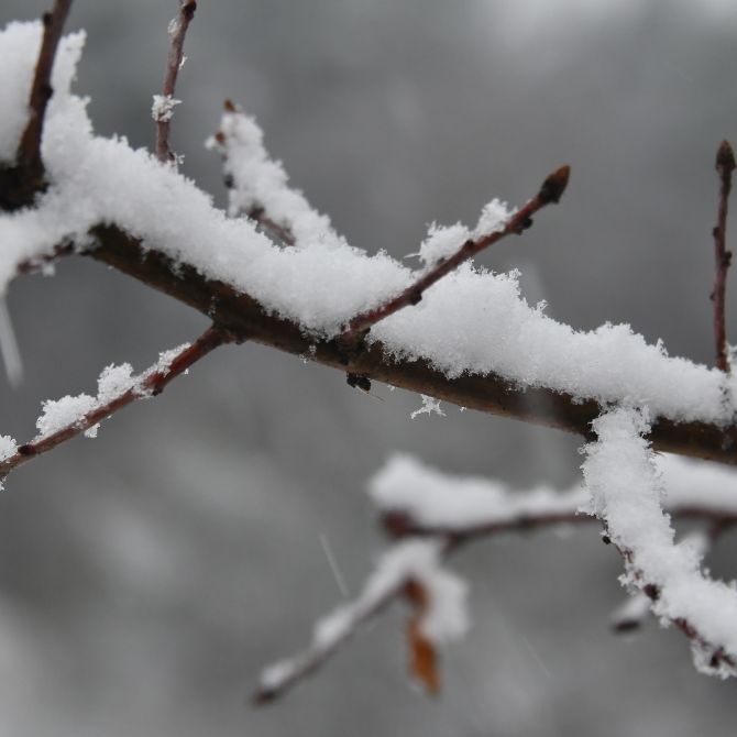 Kälte-Hammer bringt Schnee und Eis nach Deutschland Kälte-Hammer bringt Schnee und Eis nach Deutschland (Foto)