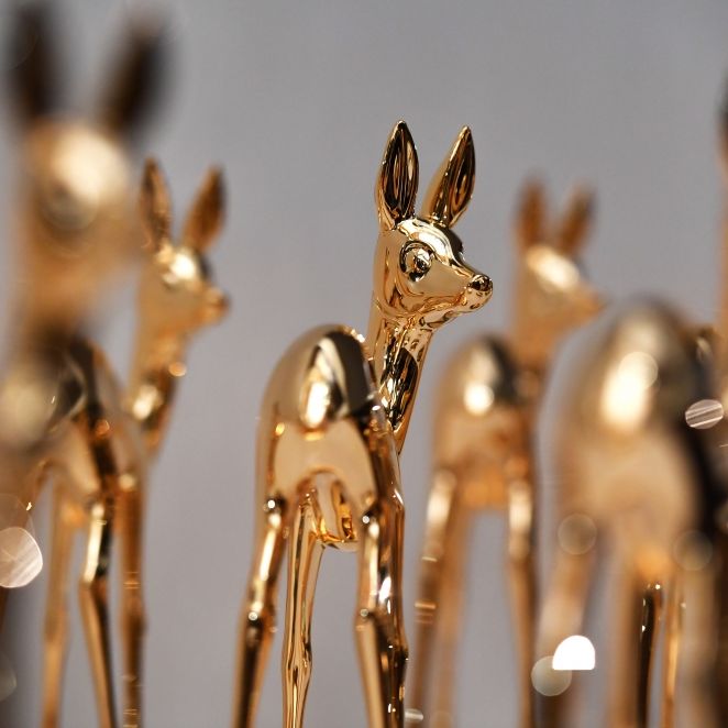 Das sind die Gewinner der Preisverleihung Das sind die Gewinner der Preisverleihung (Foto)