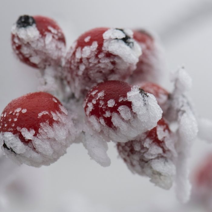 DIESES Wetterphänomen bringt eisige Temperaturen DIESES Wetterphänomen bringt eisige Temperaturen (Foto)