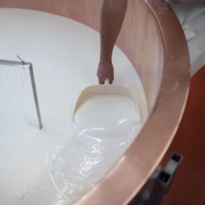Salmonellen-Schock! DIESER Käse wird zurückgerufen Salmonellen-Schock! DIESER Käse wird zurückgerufen (Foto)