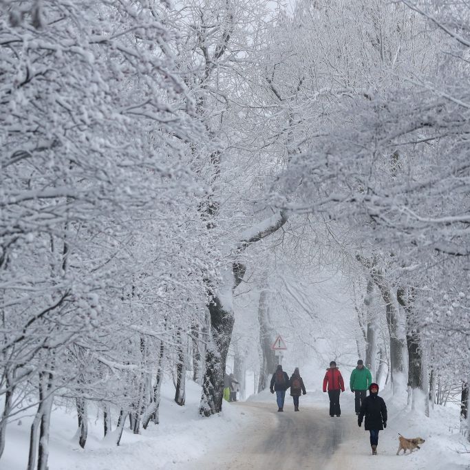 Alarmstufe Rot - Warnung vor Eisregen! Alarmstufe Rot - Warnung vor Eisregen! (Foto)