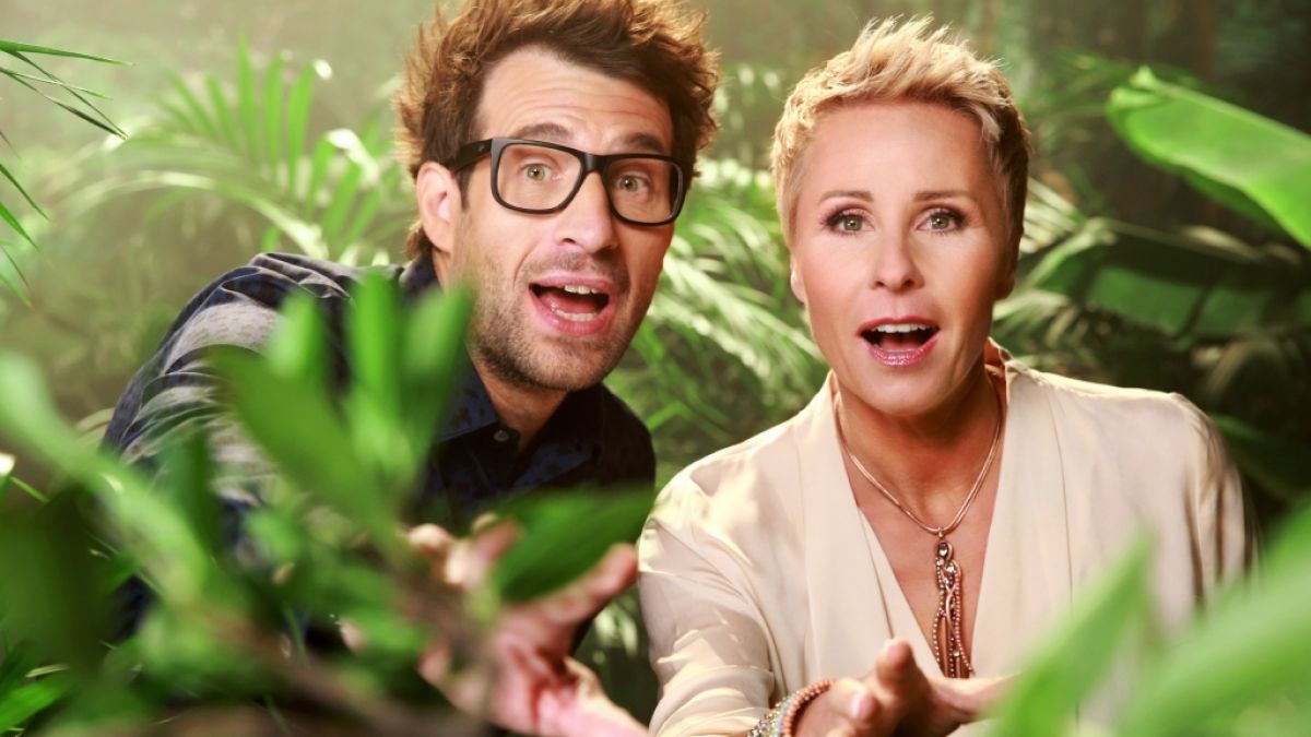 Die neue Staffel vom Dschungelcamp steht in den Startlöchern - ich 2019 werden Daniel Hartwich und Sonja Zietlow "Ich bin ein Star - Holt mich hier raus!" moderieren. (Foto)