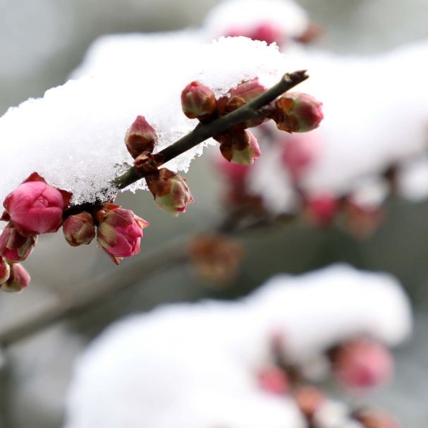 Vorsicht, Glatteis! HIER schlägt der Winter richtig zu Vorsicht, Glatteis! HIER schlägt der Winter richtig zu (Foto)