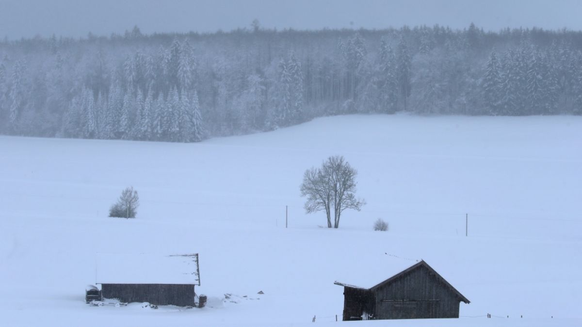 erschneit ist die Landschaft bei Friesenried. Der Winter hat weite Teile Bayerns weiter fest im Griff. (Foto)