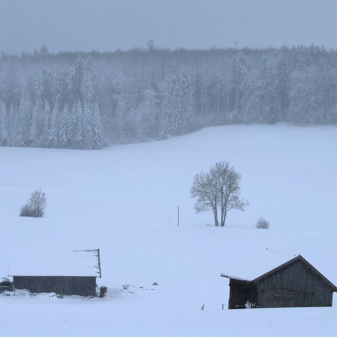 Achtung, Orkanböen! Süddeutschland versinkt im Schnee