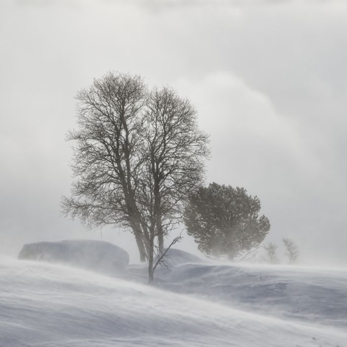 Bis zu 15 Zentimeter Neuschnee! Wintereinbruch wegen Tief "Martin" Bis zu 15 Zentimeter Neuschnee! Wintereinbruch wegen Tief "Martin" (Foto)