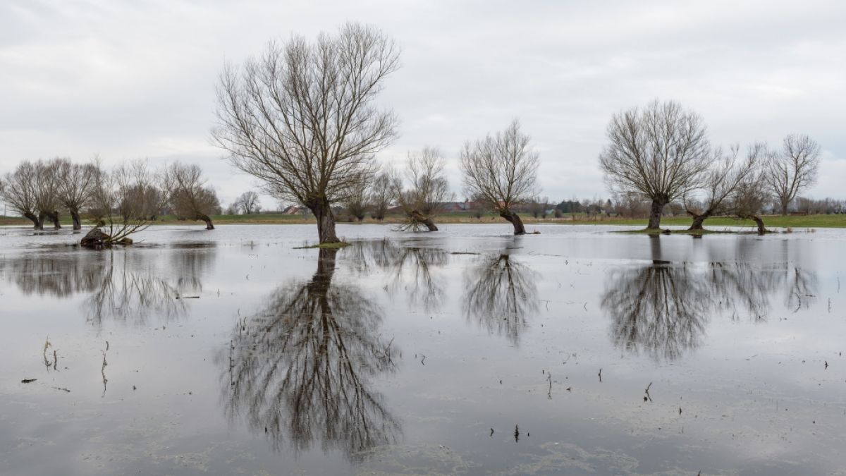 Drohen im Februar 2019 Überschwemmungen? (Foto)