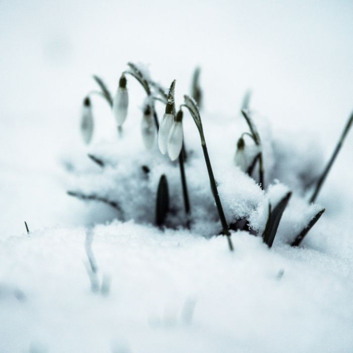Bizarre Aussichten - Erst Schneewalze, dann Frühlingswetter! Bizarre Aussichten - Erst Schneewalze, dann Frühlingswetter! (Foto)