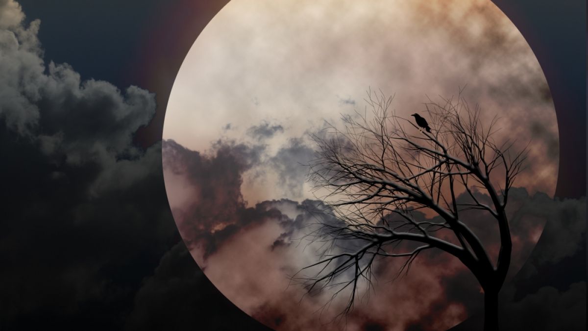 Im März können Astronomiefans einen düsteren Krähenmond am Himmel sehen. (Foto)
